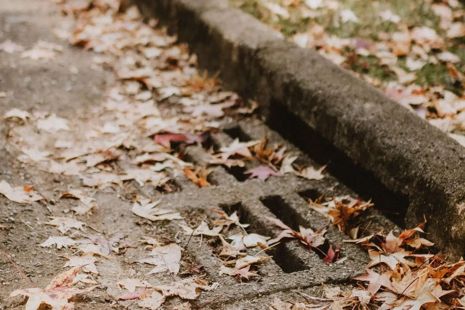 Close-up of a storm drain grate