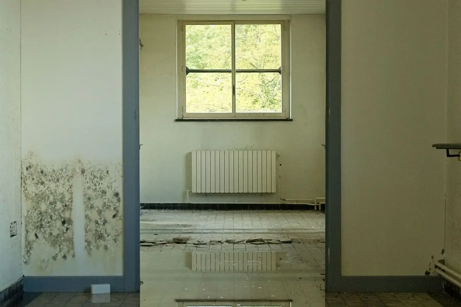 Empty room with water on the floor and a damp, stained wall